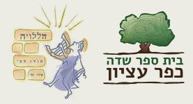 לוגו שבועות_20240609175015.428.png